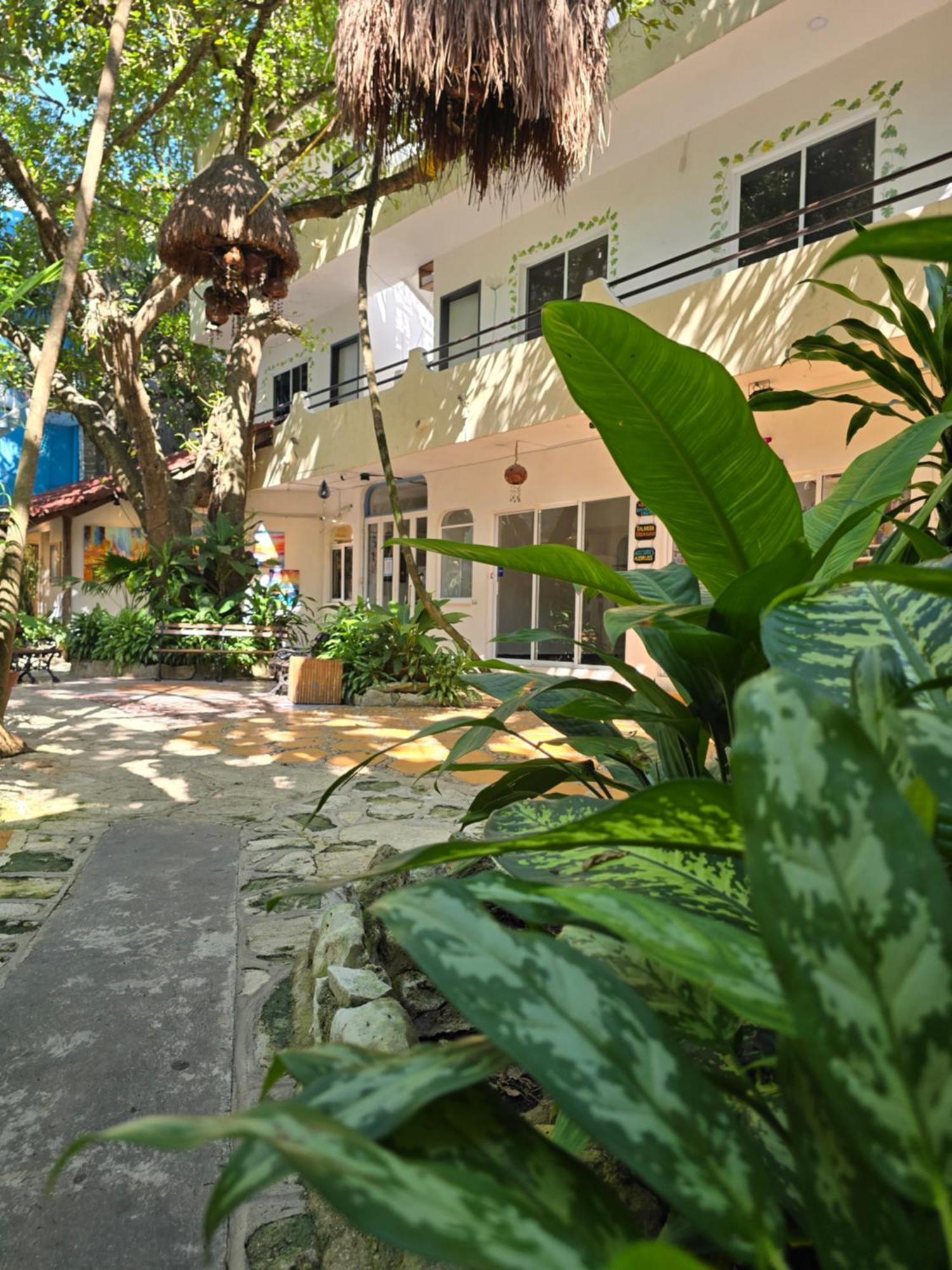 Hotel Ha Garden Gallery - 5Th Avenue ปลายาเดลการ์เมน ภายนอก รูปภาพ