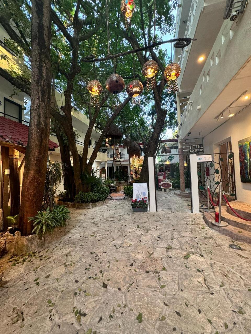 Hotel Ha Garden Gallery - 5Th Avenue ปลายาเดลการ์เมน ภายนอก รูปภาพ