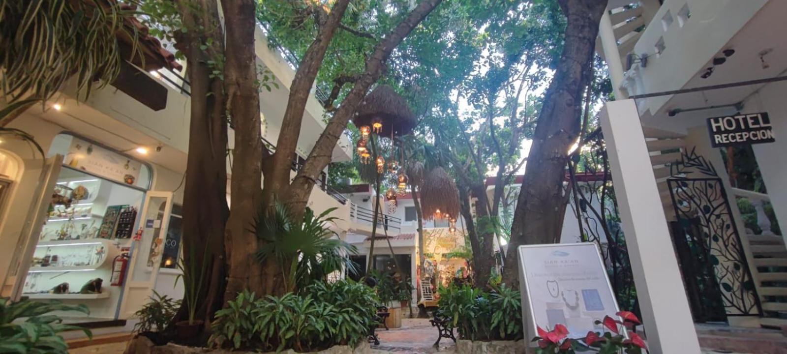 Hotel Ha Garden Gallery - 5Th Avenue ปลายาเดลการ์เมน ภายนอก รูปภาพ