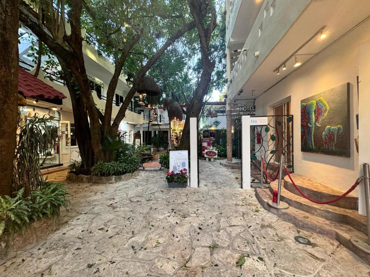 Hotel Ha Garden Gallery - 5Th Avenue ปลายาเดลการ์เมน ภายนอก รูปภาพ