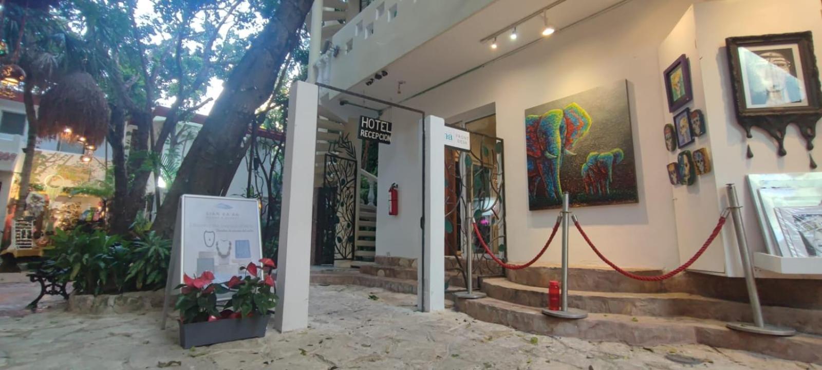 Hotel Ha Garden Gallery - 5Th Avenue ปลายาเดลการ์เมน ภายนอก รูปภาพ